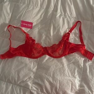 Curvy Kate red bra 32H